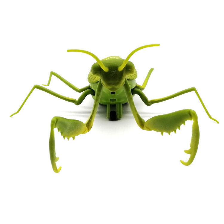 6661 Sensor infrarrojo Control remoto Mantis religiosa simulada niños creativos modelo de juguete eléctrico complicado, Praying Mantis