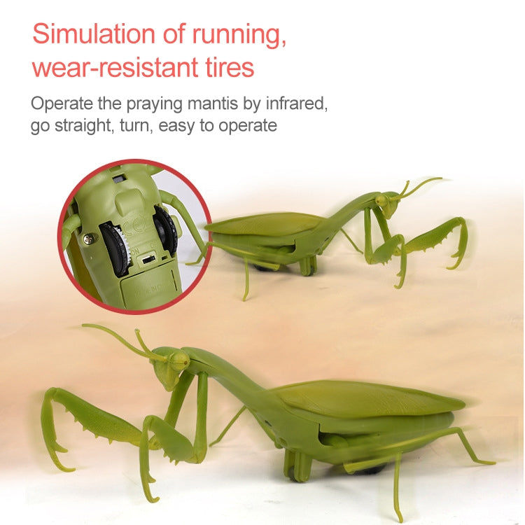 6661 Sensor infrarrojo Control remoto Mantis religiosa simulada niños creativos modelo de juguete eléctrico complicado, Praying Mantis