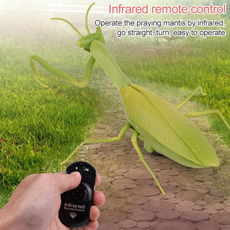 6661 Sensor infrarrojo Control remoto Mantis religiosa simulada niños creativos modelo de juguete eléctrico complicado, Praying Mantis