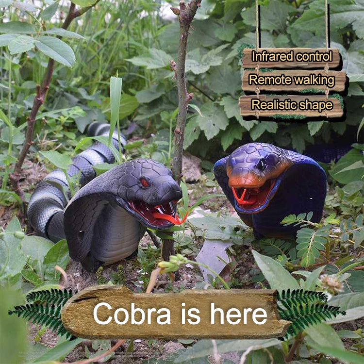 8808B Sensor infrarrojo Control remoto Cobra simulada creativo niños eléctrico modelo de juguete complicado, Cobra
