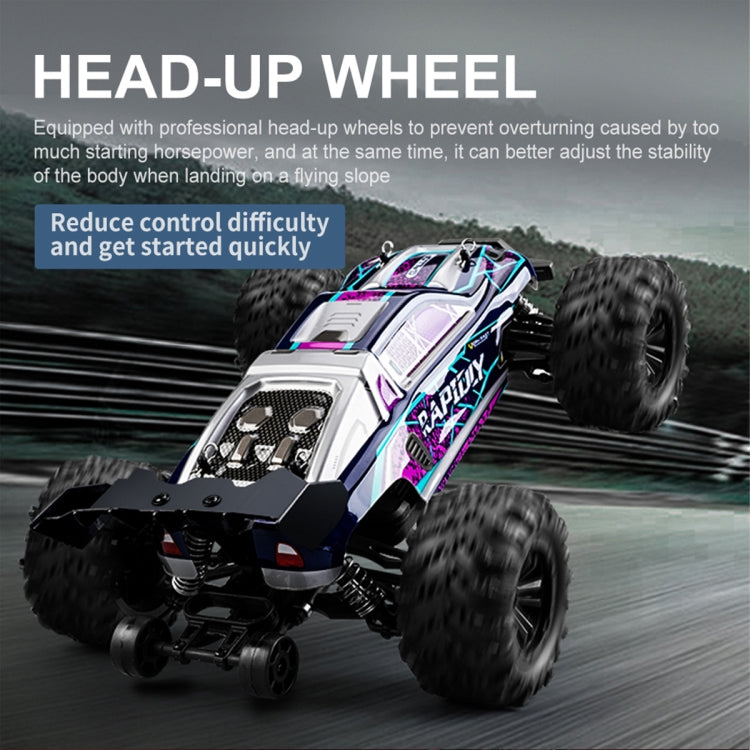 SCY-16101 2.4G 1:16 Eléctrico 4WD RC Monster Truck Coupe Coche de juguete, SCY-16101 / Blue, SCY-16101 / Purple