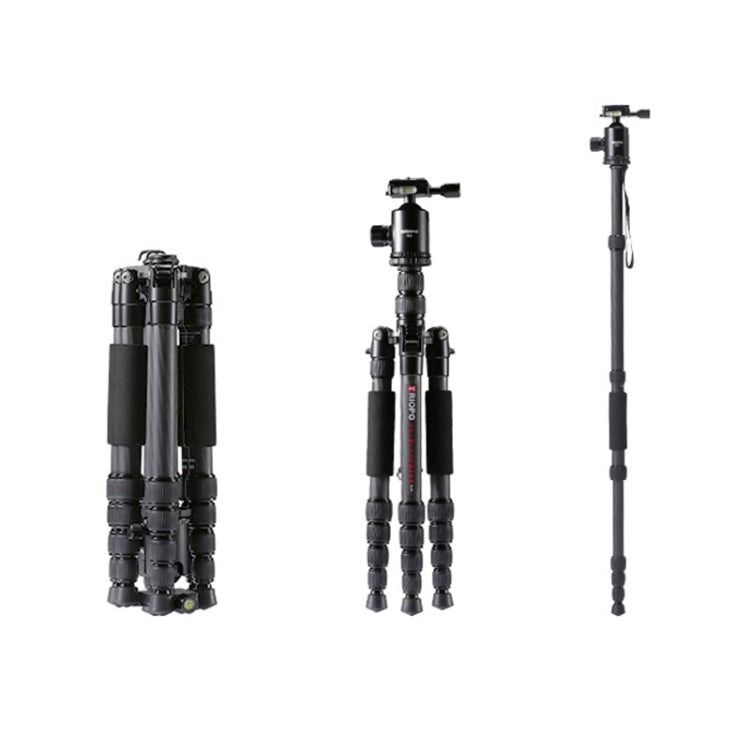TRIOPO T259G+Q2 Trípode de Fibra de Carbono Portátil Ajustable con Rótula de Bola Q-2 para Cámara SLR, T259G+Q2
