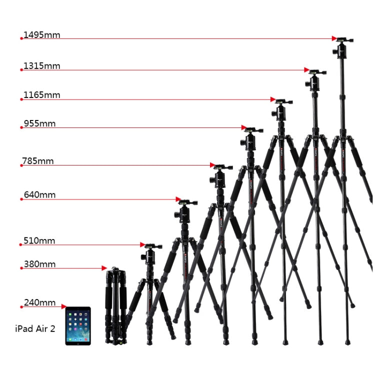 TRIOPO T259G+Q2 Trípode de Fibra de Carbono Portátil Ajustable con Rótula de Bola Q-2 para Cámara SLR, T259G+Q2