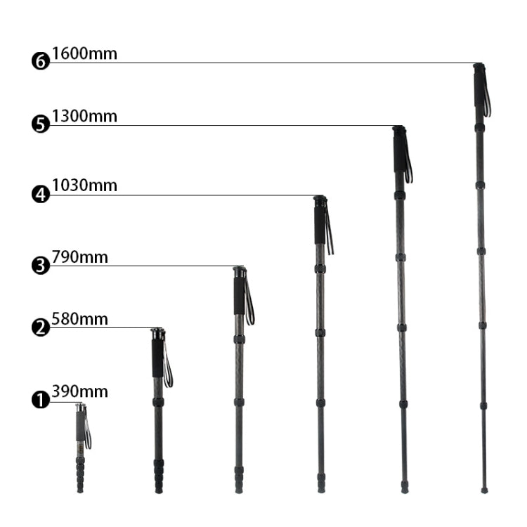 BEXIN P306C Soporte monopié de fibra de carbono para cámara DSLR portátil de viaje al aire libre, P306C