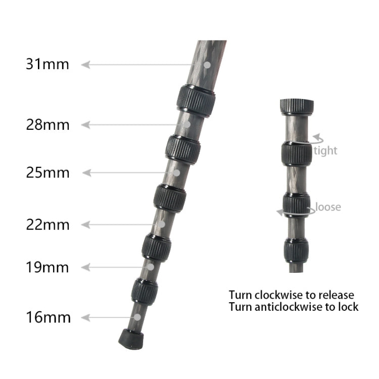 BEXIN P306C Soporte monopié de fibra de carbono para cámara DSLR portátil de viaje al aire libre, P306C