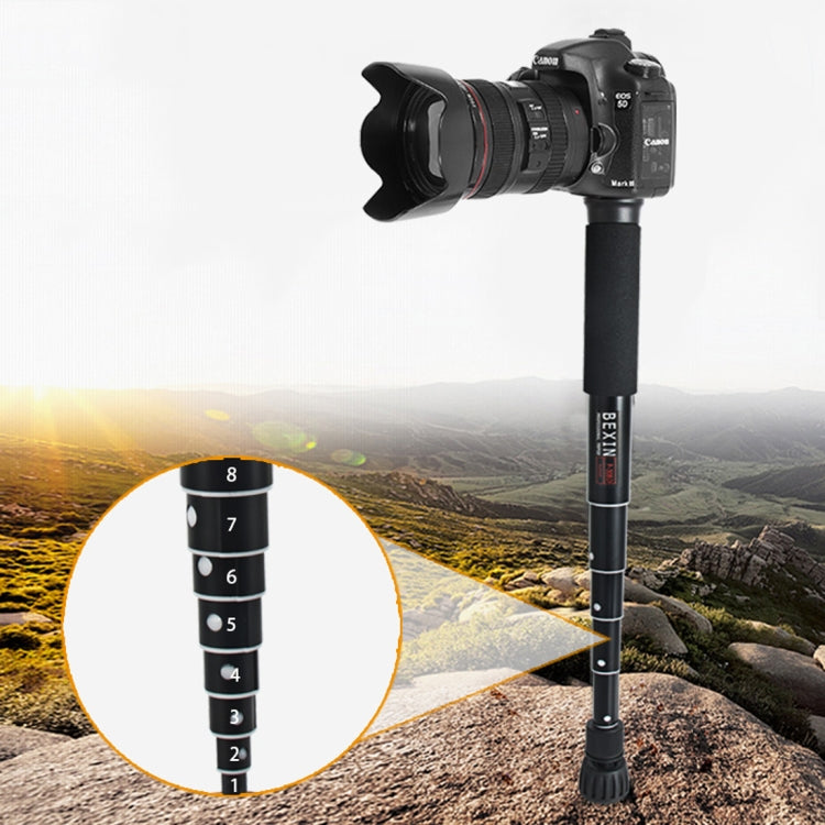 BEXIN P308D Soporte monopié de aleación de aluminio para cámara DSLR portátil de viaje al aire libre, P308D