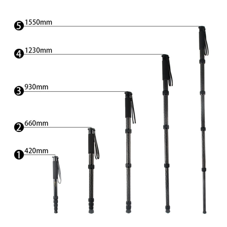 BEXIN P285-C Soporte monopié de fibra de carbono para cámara DSLR portátil de viaje al aire libre, P285-C