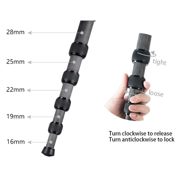 BEXIN P285-C Soporte monopié de fibra de carbono para cámara DSLR portátil de viaje al aire libre, P285-C