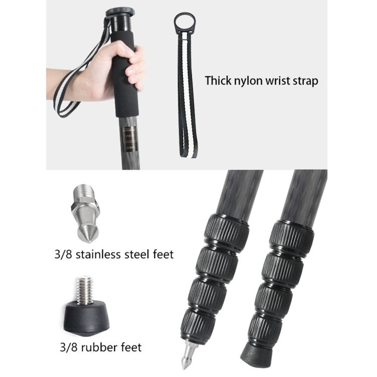 BEXIN P285-C Soporte monopié de fibra de carbono para cámara DSLR portátil de viaje al aire libre, P285-C