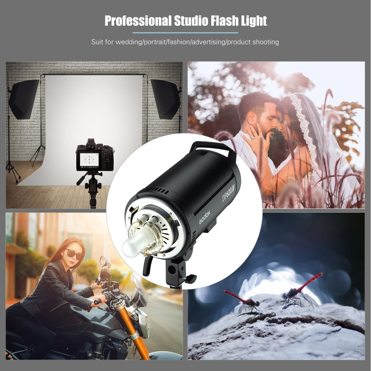Godox DP600III Luz de flash de estudio 600Ws Flash de estudio con montaje Bowens, DP600III
