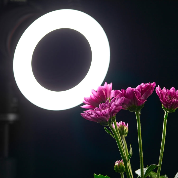 Godox Ring72 Macro Ring 48 LED Flash Light con 8 anillos adaptadores de diferentes tamaños, Ring72