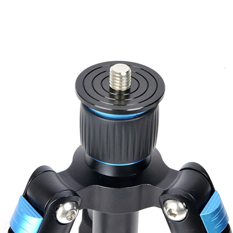 Mini trípodes para cámara de viaje BEXIN MS08 con cabezal esférico para cámara DSLR de teléfono inteligente