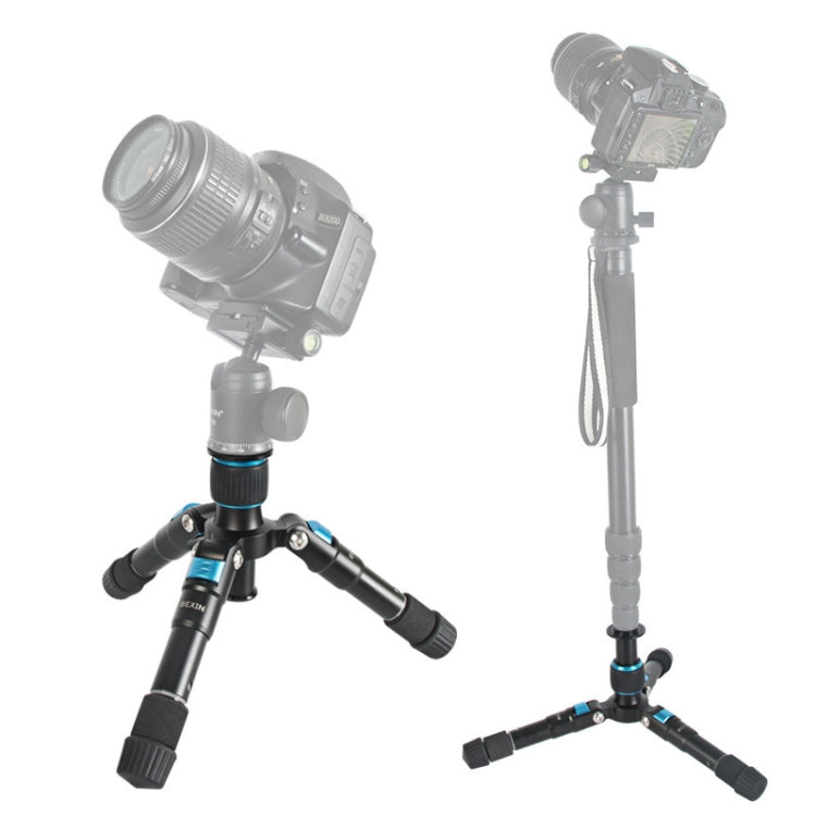 Mini trípodes para cámara de viaje BEXIN MS08 con cabezal esférico para cámara DSLR de teléfono inteligente
