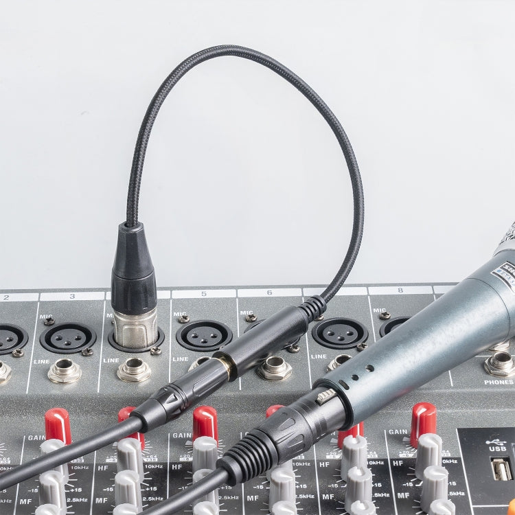 Cable de conversión de audio para micrófono hembra a XLR macho de 0,3 m y 6,35 mm, 635K04-03