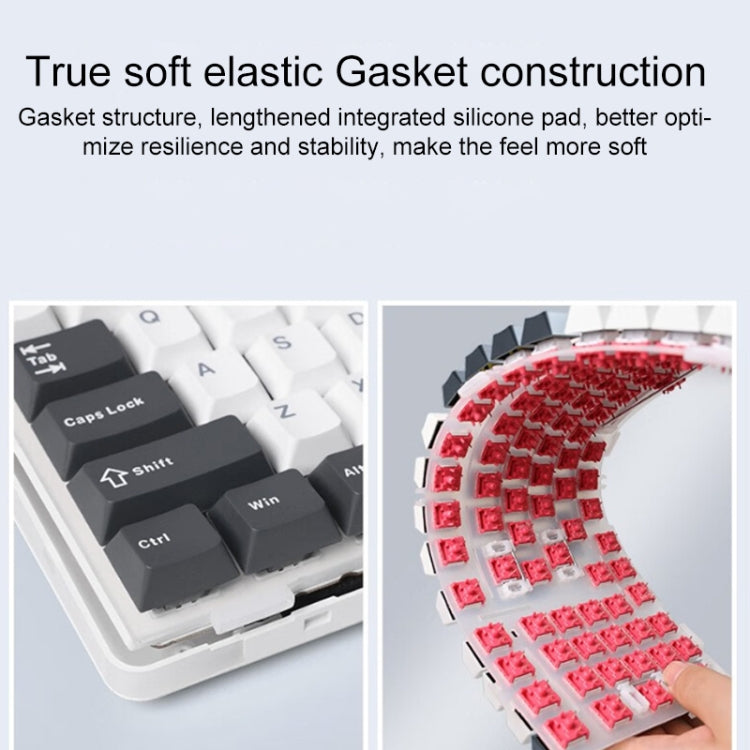 Teclado mecánico RGB personalizado AULA F87 de 87 teclas con cable/2,4 G/Bluetooth, tres modelos