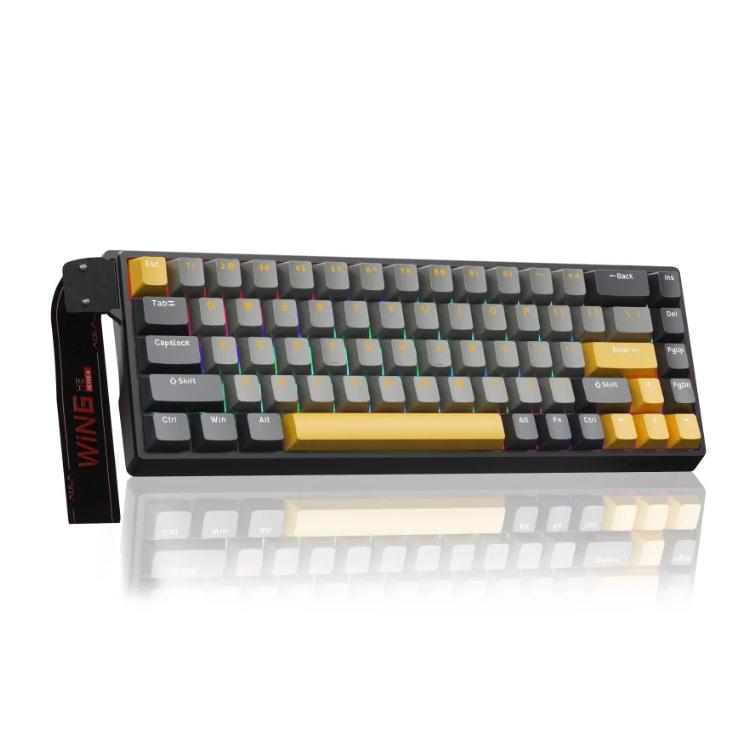 Teclado con cable RGB AULA WIN68HE MAX de 68 teclas., WIN68HE Dark+Light+Yellow Wing Chun Magnetic Axis