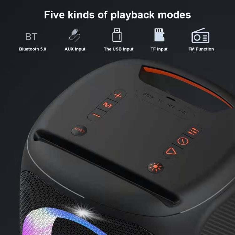 HOPESTAR Party100 Bluetooth 5.0 Altavoz Bluetooth inalámbrico portátil impermeable con función de carga móvil, Party100(Black), Party100(Green), Party100(Blue)