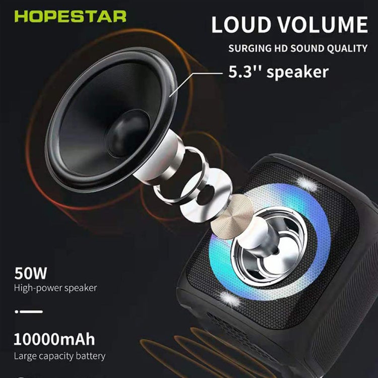 HOPESTAR Party100 Bluetooth 5.0 Altavoz Bluetooth inalámbrico portátil impermeable con función de carga móvil, Party100(Black), Party100(Green), Party100(Blue)