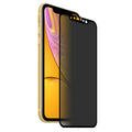 Para iPhone 11 / XR ENKAY Hat-Prince 0.26mm 9H 6D Película de vidrio templado de pantalla completa antideslumbrante de privacidad, iPhone XR