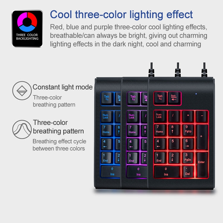 MC Saite 529 Teclado numérico con retroiluminación de tres colores con cable de 19 teclas