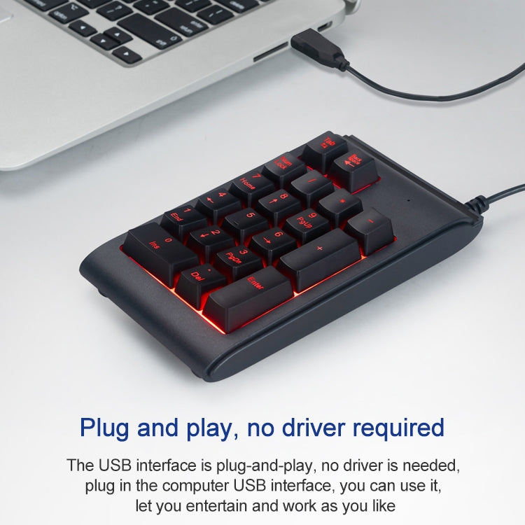 MC Saite 529 Teclado numérico con retroiluminación de tres colores con cable de 19 teclas