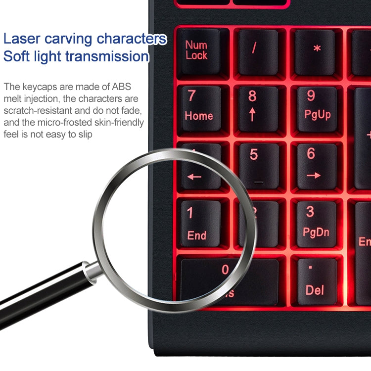 MC Saite 529 Teclado numérico con retroiluminación de tres colores con cable de 19 teclas