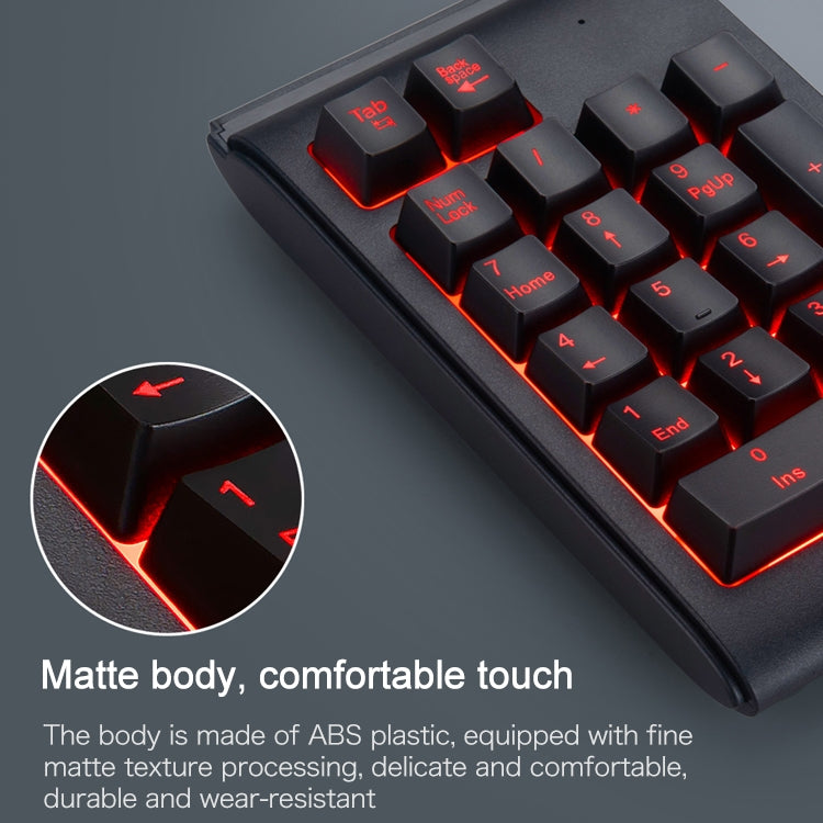 MC Saite 529 Teclado numérico con retroiluminación de tres colores con cable de 19 teclas