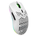 HXSJ T66 Ratón inalámbrico para juegos programable con iluminación colorida de 7 teclas, T66(White), T66(Black)