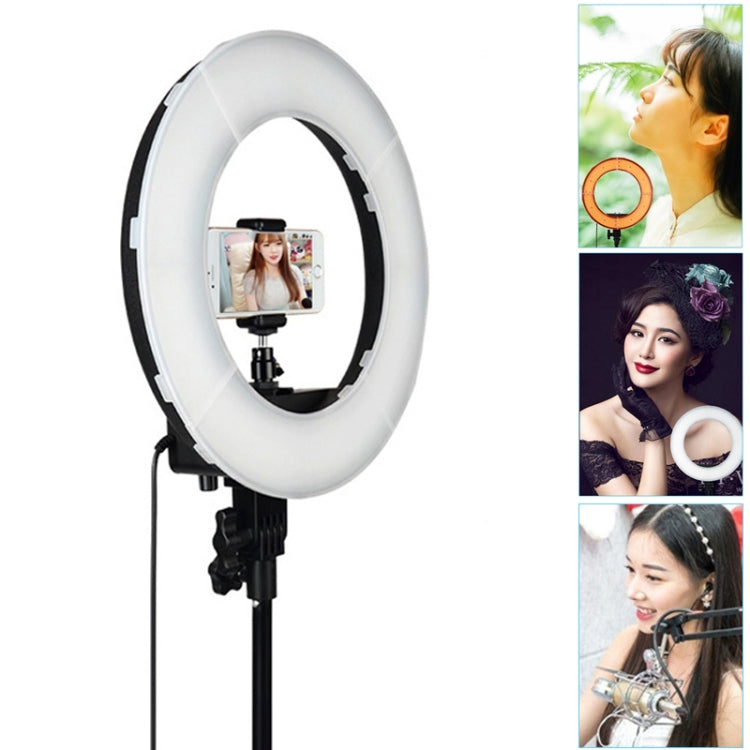 Luz de relleno de anillo LED con temporizador automático para fotografía de ancla de 12 pulgadas, 12 Inch