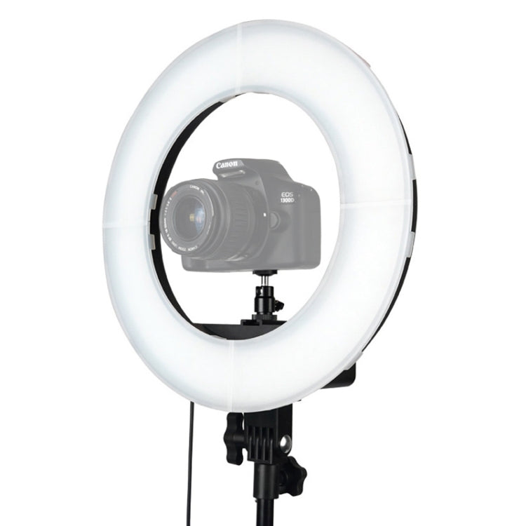 Luz de relleno de anillo LED con temporizador automático para fotografía de ancla de 12 pulgadas, 12 Inch