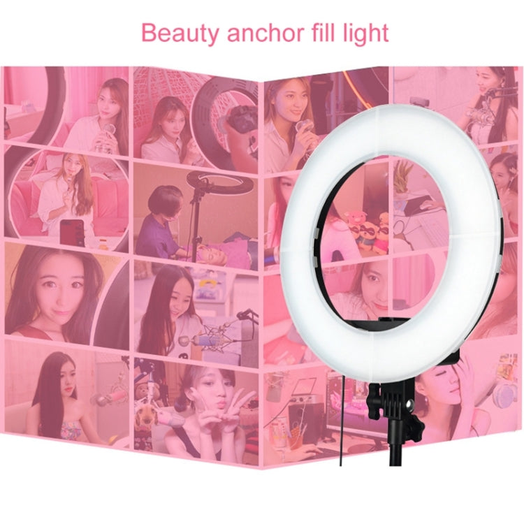 Luz de relleno de anillo LED con temporizador automático para fotografía de ancla de 12 pulgadas, 12 Inch