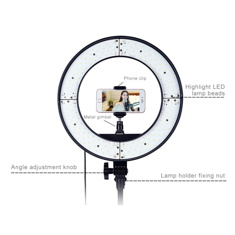 Luz de relleno de anillo LED con temporizador automático para fotografía de ancla de 12 pulgadas, 12 Inch