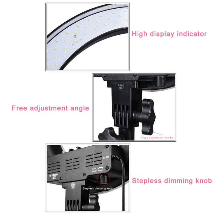 Luz de relleno de anillo LED con temporizador automático para fotografía de ancla de 12 pulgadas, 12 Inch