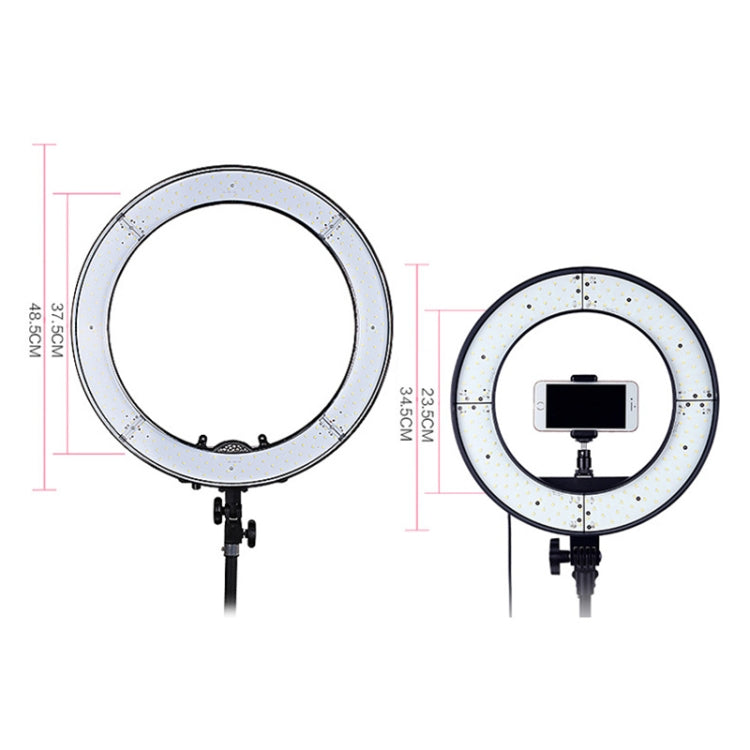 Luz de relleno de anillo LED con temporizador automático para fotografía de ancla de 12 pulgadas, 12 Inch