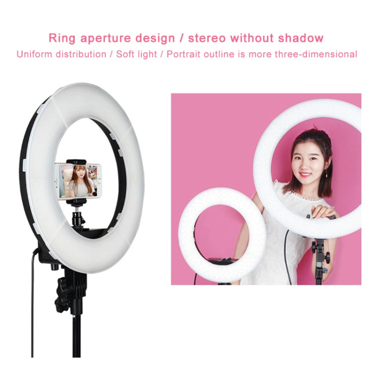 Luz de relleno de anillo LED con temporizador automático para fotografía de ancla de 12 pulgadas, 12 Inch