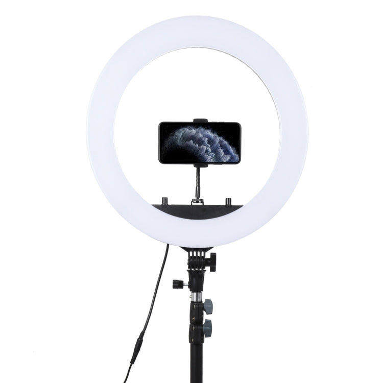 Luz de relleno de anillo LED con temporizador automático para fotografía de ancla regulable de dos velocidades, 18 pulgadas, 55W, con trípode, 18 Inch