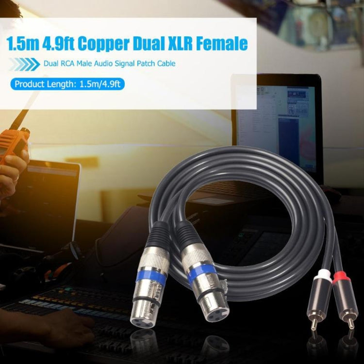 366156-15 Cable de audio de 2 RCA macho a 2 XLR hembra de 3 pines, longitud: 1,5 m, 366156-15 2 RCA Male to 2 XLR 3 Pin Female