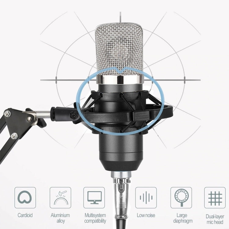 Micrófono de condensador profesional USB BM-700