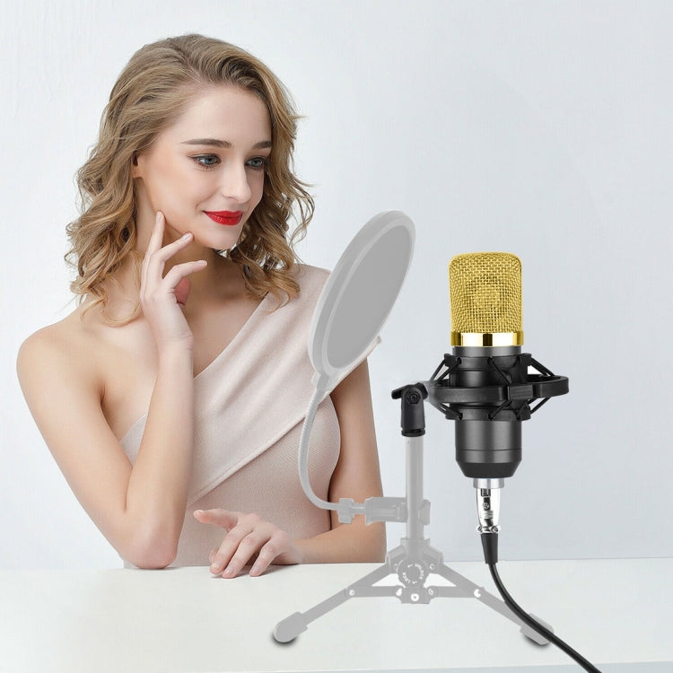 Micrófono de condensador profesional USB BM-700