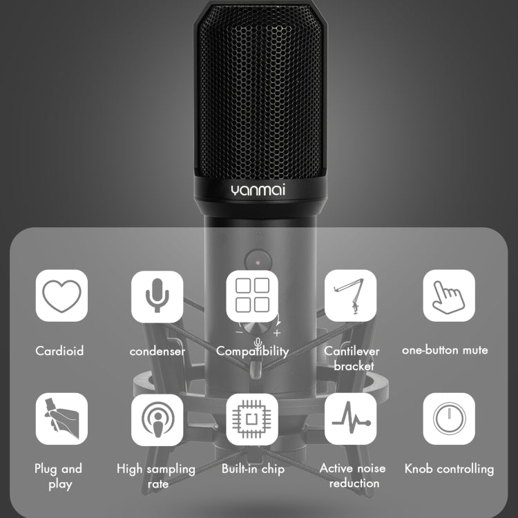 Kit de micrófono de grabación USB Yanmai Q10B, Q10B