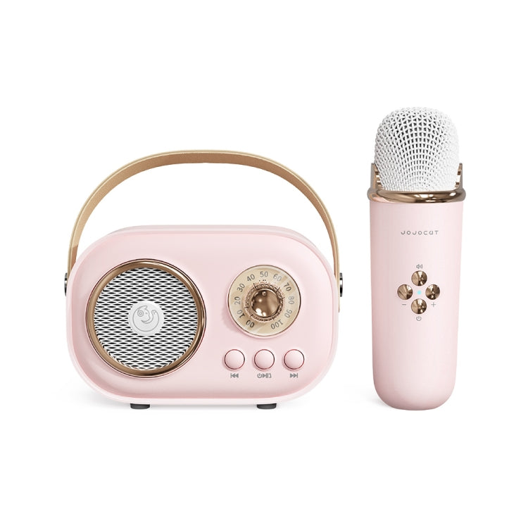 Altavoz Bluetooth Karaoke Multifuncional C20 Plus Con Micrófono