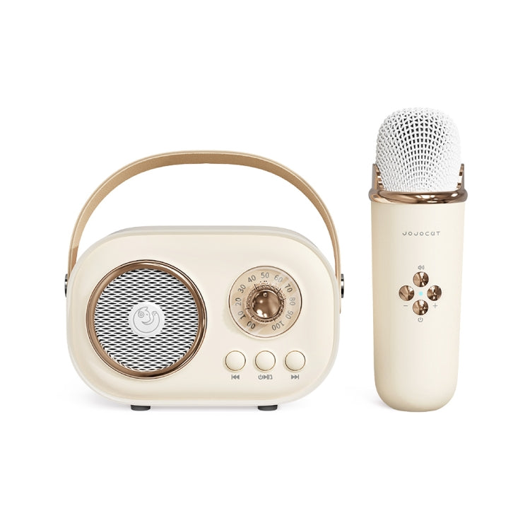 Altavoz Bluetooth Karaoke Multifuncional C20 Plus Con Micrófono