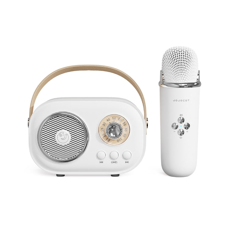 Altavoz Bluetooth Karaoke Multifuncional C20 Plus Con Micrófono