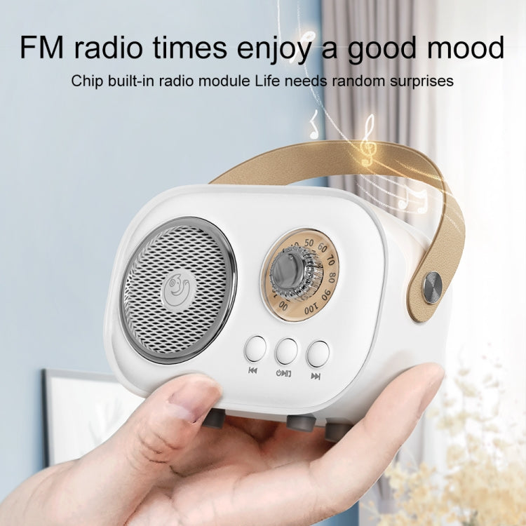 Altavoz Bluetooth Karaoke Multifuncional C20 Plus Con Micrófono