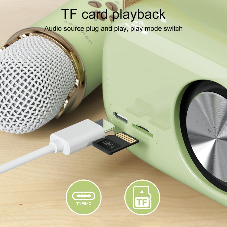 Altavoz Bluetooth Karaoke Multifuncional C20 Plus Con Micrófono