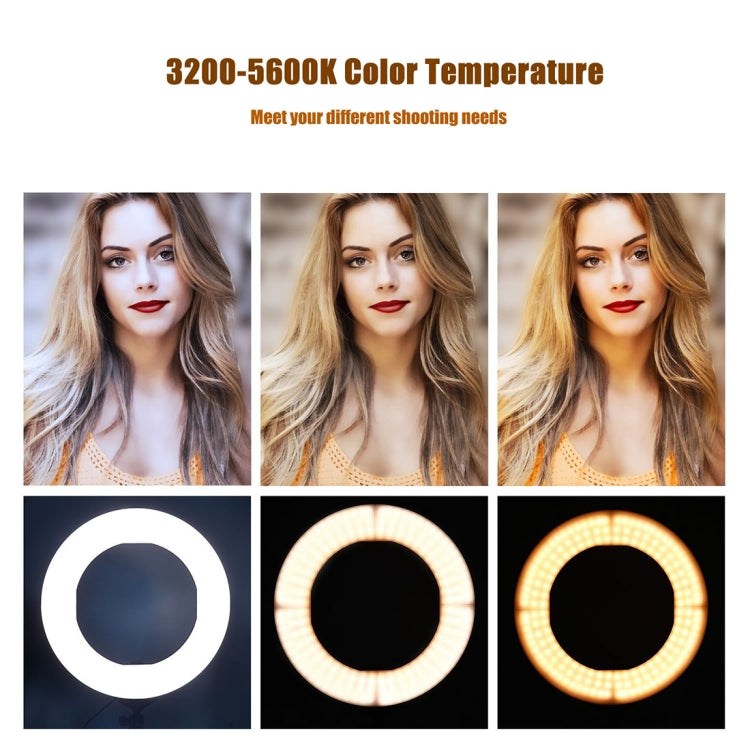 MANTOO RL-12 II 100-240V 28W 12 pulgadas Luz de relleno de anillo regulable de dos colores con trípode, 12 inch
