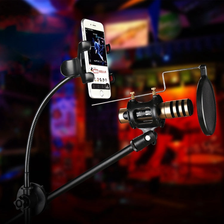 Para grabación de estudio, transmisión en vivo, show en vivo, KTV, etc., RODD NB-108