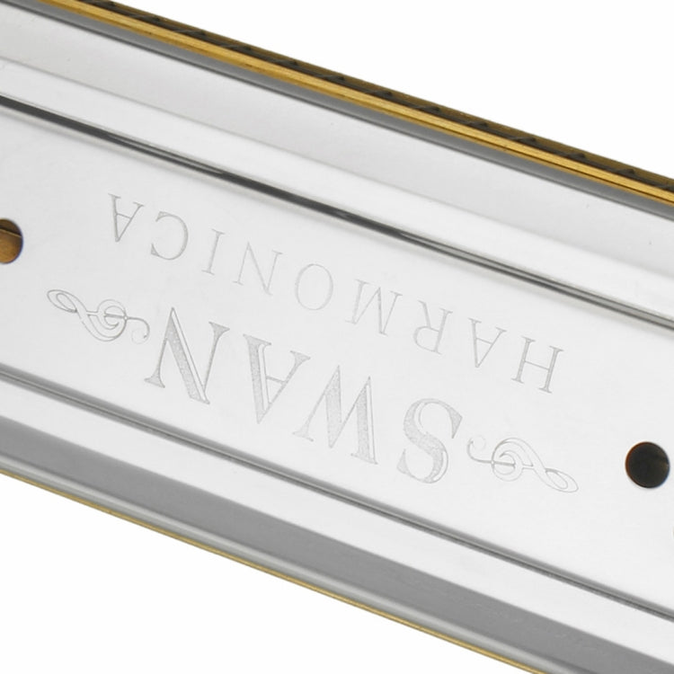 Swan SW24-12A Caja de polifonía para principiantes, armónica de doble cara con 24 agujeros, rendimiento para principiantes y adultos, SW24-12A 24-holes Polyphonic Harmonica
