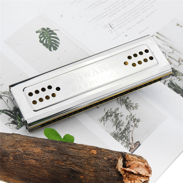 Swan SW24-12A Caja de polifonía para principiantes, armónica de doble cara con 24 agujeros, rendimiento para principiantes y adultos, SW24-12A 24-holes Polyphonic Harmonica