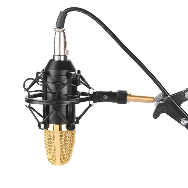 FIFINE F-700 Micrófono de grabación de sonido de condensador profesional con soporte antivibración para transmisión de radio en estudio y transmisión en vivo, puerto para auriculares de 3,5 mm, longitud del cable: 2,5 m